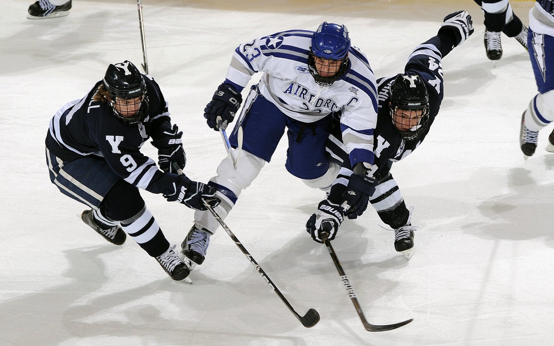 NBA球员训练技术优化方案，nba球员训练技术优化方案有哪些