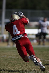 KAIYUNAPP-德甲球队视频分析辅助防守站位调整的实证研究，德甲身体对抗